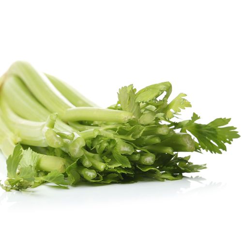 Cebollino